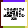 무릎관절에 좋은 운동법 관절 보호와 통증 완화 동작