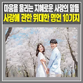 관련글 썸네일사이즈