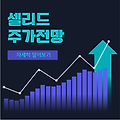 셀리드주가[전망,투자전략📈]