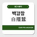 백강잠(白殭蠶)