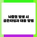 뇌출혈 발생 시 골든타임과 대응 방법
