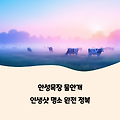 안성목장 물안개 - 인생샷 명소 완전 정복