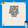르번 캐치티니핑 무소음 케이스 & 교정 젓가락 세트: 혼합색상, 숟가락/젓가락/포크/케이스, 편리한 식사 시간 완성