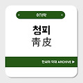 청피(靑皮)