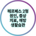 헤르페스 2형 원인, 증상, 치료방법, 예방방법, 생활습관