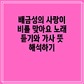 배금성의 사랑이 비를 맞아요 노래 듣기와 가사 뜻 해석하기