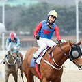 [경마] 빅스고, 2024년 대상경주의 시작 ‘세계일보배’ 포문을 열다