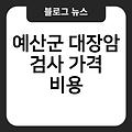 예산군 대장암 검사 대장암수술후기(3기,4기) 대장암초기증상생존율 잘하는곳 병원추천 가격비용