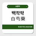 백작약(白芍藥)