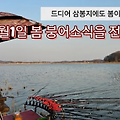 4월의 봄붕어 삼봉지에서 만나다