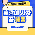 호랑이 꿈, 사자 꿈 해몽 : 호랑이 만나는 꿈, 호랑이 잡는 꿈, 사자와 싸우는 꿈 등