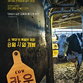 카우 (Cow, 2021) [2022-08-11 개봉]