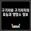 구기자와 구기자차의 효능과 영양소 정보