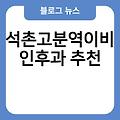 석촌고분역이비인후과 전문의병원 유명한곳 추천 진료잘보는곳 역류성식도염이비인후과