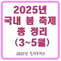 2025년 국내 봄 축제 총정리(3월~5월 +특히 주목할 축제)