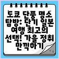 도쿄 단풍 명소 탐방: 단기 일본 여행 최고의 선택! 가을 정취 만끽하기