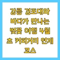 강릉 경포대와 바다가 만나는 벚꽃 여행 4월 초 커피거리 연계 코스