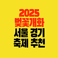 2025 서울·경기 벚꽃 개화 만개 시기와 봄나들이 벚꽃 축제 명소 추천
