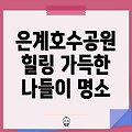 시흥 은계호수공원: 가족 나들이, 데이트, 그리고 힐링의 공간