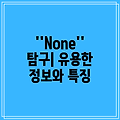 ''None'' 탐구| 유용한 정보와 특징
