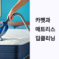 카펫과 매트리스 청소의 모든 것: 진드기와 냄새 완벽 제거하는 딥클리닝 방법