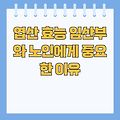 엽산 효능 임산부와 노인에게 중요한 이유