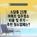 소담동 25평 아파트 입주청소 비용 및 후기 - 추천 청소업체는?