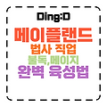 2025 메이플랜드 법사(불독,메이지) 완벽 육성 가이드