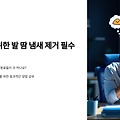 직장인을 위한 발 땀 냄새 제거 필수 루틴 총정리