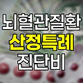 뇌혈관질환 산정특례 진단비 보험 특약 해설