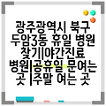 광주광역시 북구 두암3동 휴일 병원 찾기|야간진료 병원|공휴일 문여는 곳 |주말 여는 곳