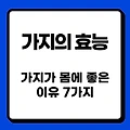 가지 효능 - 가지가 몸에 좋은 이유 7가지