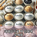 대체감미료 와 인체에 무해함