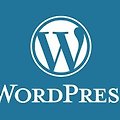 [WordPress] WP Error establishing a database connection 오류 해결