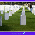 article_rep_thumbnail_raw_url