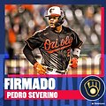 페드로 서베리노 (Pedro Severino)와 계약을 맺은 밀워키 브루어스