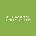 코나 일렉트릭의 연비는 얼마인가요? 연비 끝판왕!