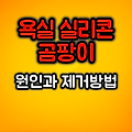욕실 실리콘 곰팡이 원인과 제거방법 :: 제거용품 장점 비교