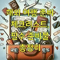해외 여행 준비 체크리스트, 필수 준비물 총정리