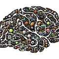 강박장애(OCD)의 뇌 메커니즘과 치료 가능성