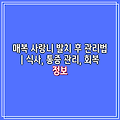 매복 사랑니 발치 후 관리법 | 식사, 통증 관리, 회복 정보