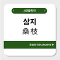 상지(桑枝)