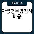 난소낭종수술 여성의원 요실금치료방법 시험관아기성공률 임신가능성 자궁경부암검사비용