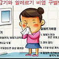 비염 수술 종류와 효과, 내게 맞는 선택은?