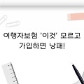 여행자보험 '이것' 모르고 가입하면 낭패! (금감원 필수 체크리스트 : 중복보상? 구급차?)