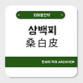 상백피(桑白皮)