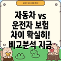 자동차보험 vs 운전자보험: 차이점 완벽 비교분석!