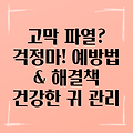 고막 파열 증상 예방 및 완벽 해결 가이드: 건강한 귀 관리를 위한 A to Z