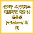 윈도우 스팟라이트 배경화면 저장 및 활용법 (Windows 10, 11)