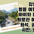 강원도 영월 여행 - 8 관광지도 영월 관광 여행코스 아이와 함께 박문관 여행, 화석, 공룡, 사진, 인도, 강원도 영월군 영월 갈만한곳, 가볼만한 곳